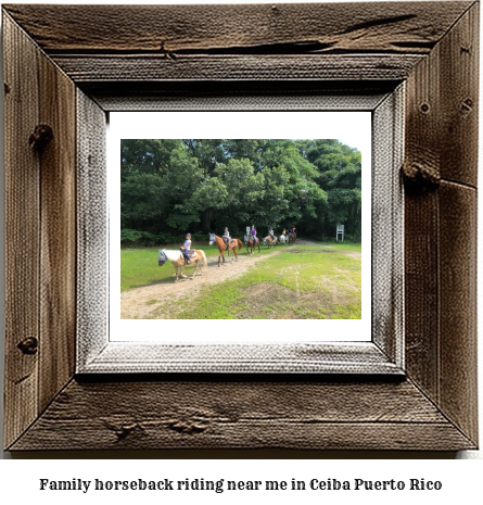 family horseback riding near me in Ceiba, Puerto Rico